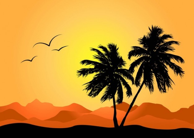 a summer landscape with palm trees and seagull