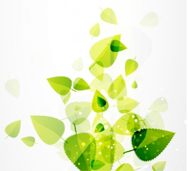 abstract green leaves background over white plate