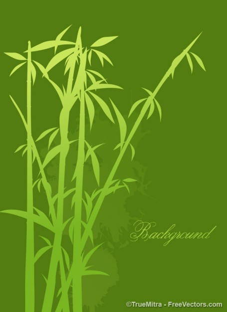 clear bamboo tree over green background set