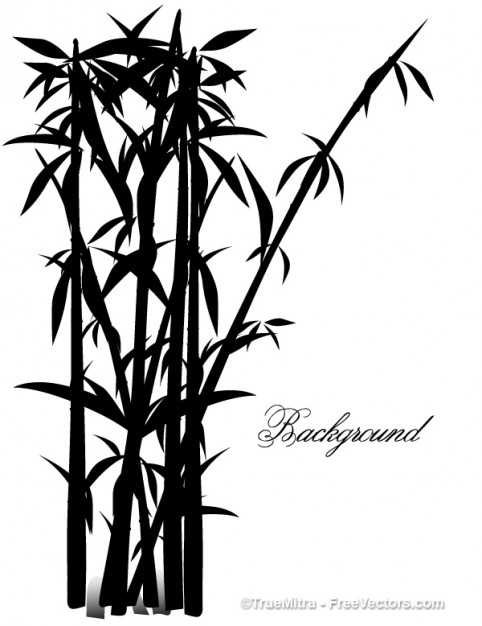 exotic bamboo tree illustration of Chinese style