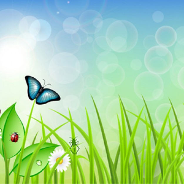 grass flower of spring illustration background with nimbus