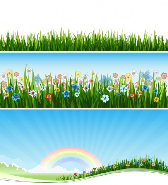 Landscape landscape rainbow and grass flowers banner about Cornflower Pear