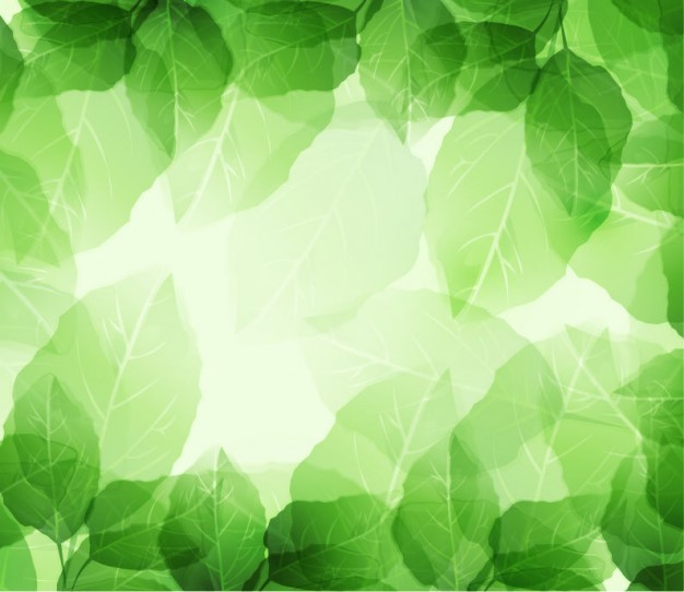 light strikeing green leaves and transparencies on background