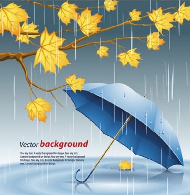 Rain rainy Weather umbrella autumn leaves background about Umbrella Social media