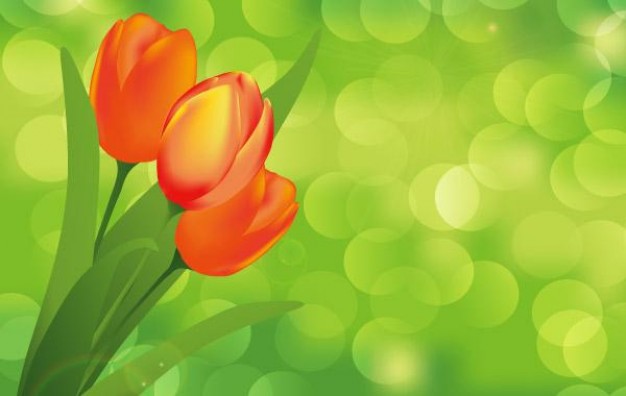 three flowers with green bubbles background art
