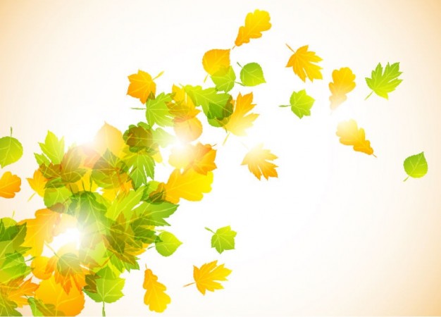 yellow and green Graphics autumn Palette (computing) fly leaves background about Image Editing Photo