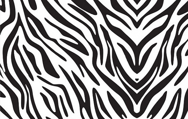 Zebra shell pattern print about Species Health