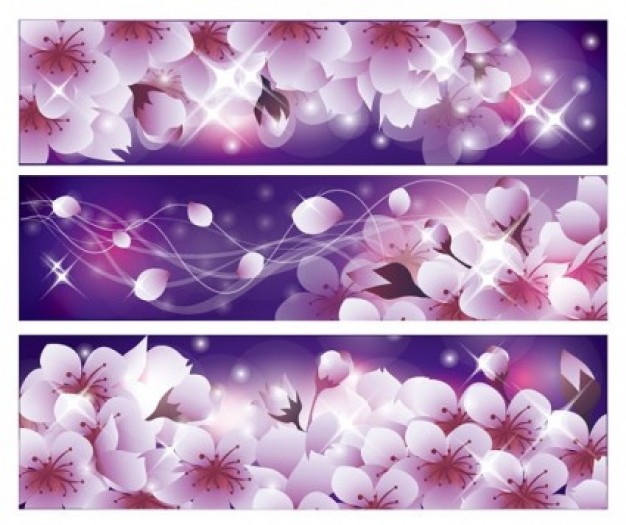 romantic Cherry flower background package