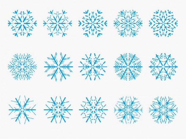 Christmas snowflake Holiday vectors about Shopping Decorations