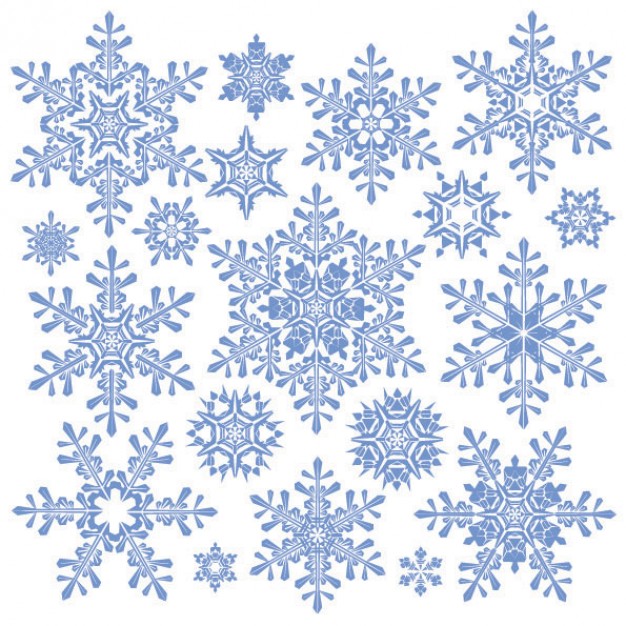Christmas Snowflake variety of snowflake material about winter elements