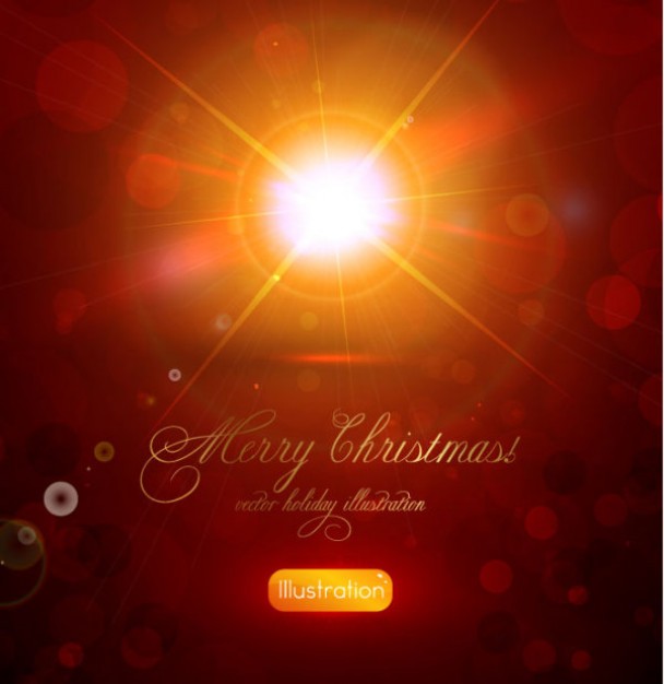 Christmas the Fruit and Vegetable glare of starlight background about sunset Carrot Home