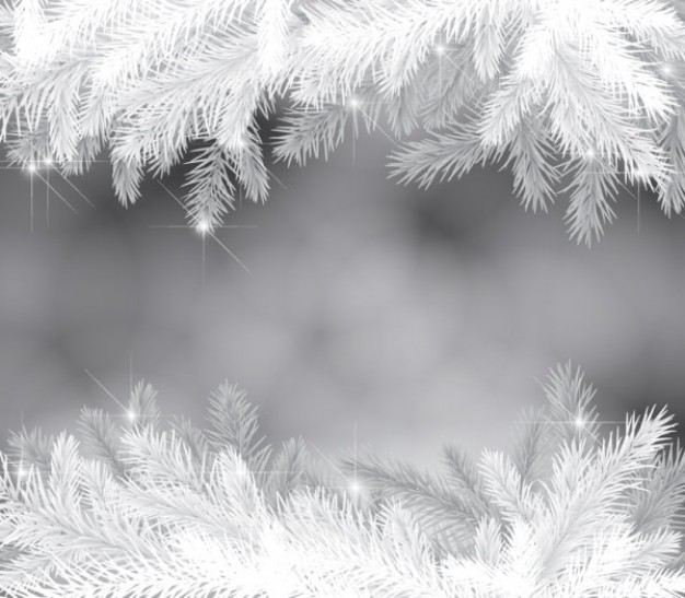 Christmas white Conifer cone pine branches on top and bottom of gray background about winter  Christ