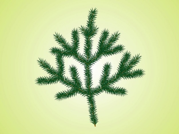 fresh branch christmas tree with light green background