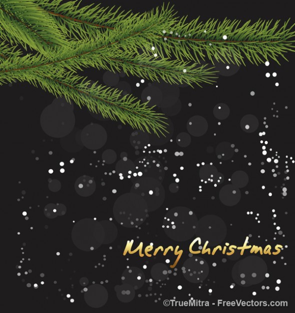 green branches greeting card with dark grey and snowflakes background