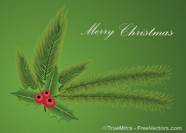 mistletoe christmas leaves and ball green Christmas card
