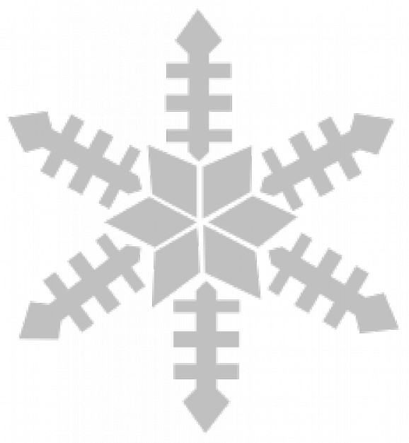 Weather gray Sports snowflake about Winter elements