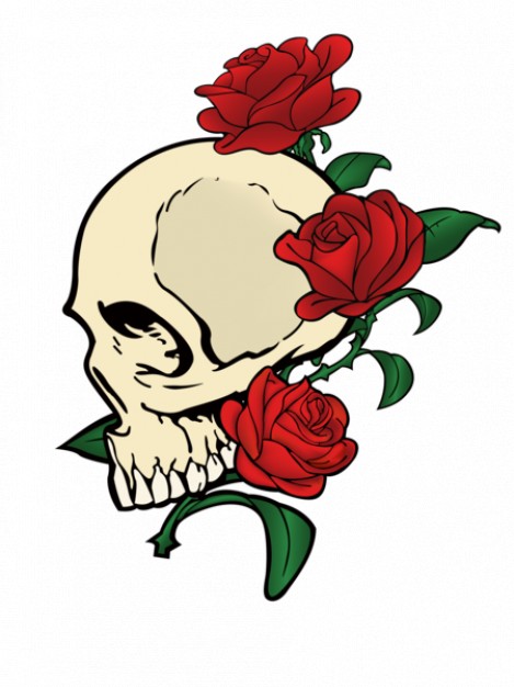 Gardens skull Plants with red rose background about Roses Shrubs