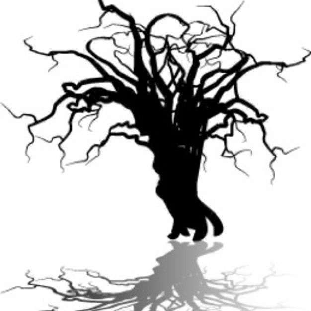 art black Photography white tree shadow about halloween Photographers