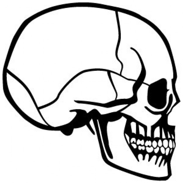 art skull Photography profile side view about Photographers Techniques and Styles