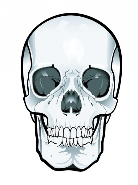 Clip art frontal Mexico skull clipart about Onavas Artificial cranial deformation