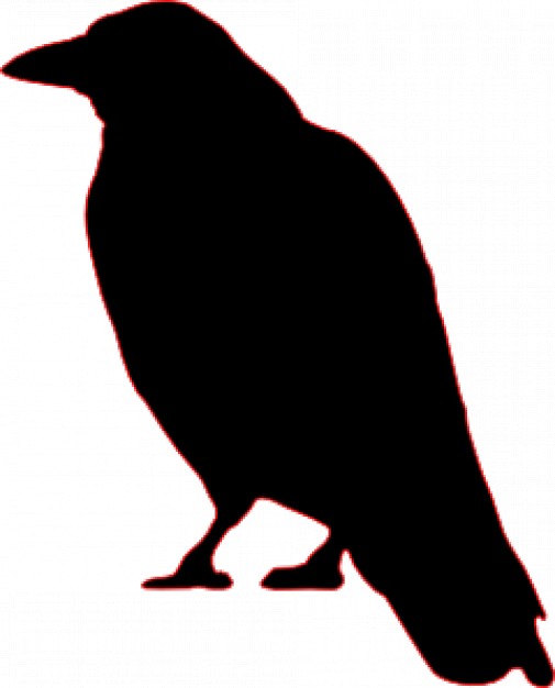 crow halloween silhouette with white background