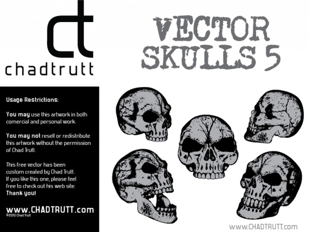 five human skulls with white background