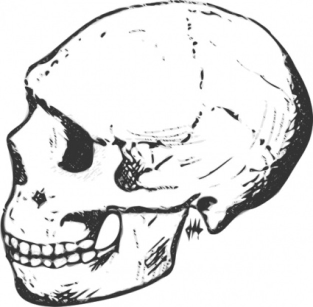 Grayscale skull side view Clip art grayscale clip art with background about Color Graphics