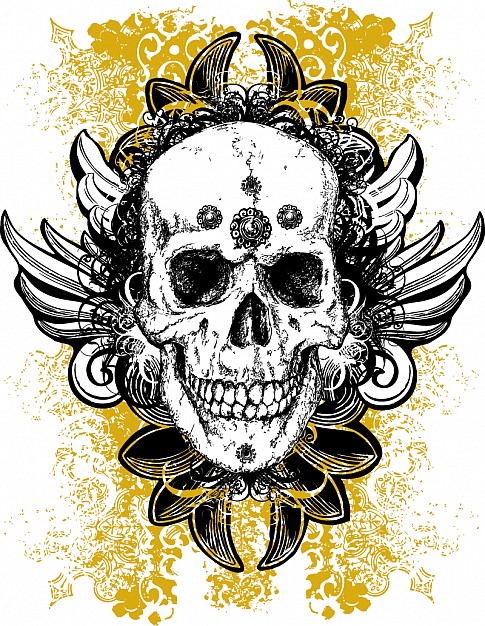 grunge skull winged illustration by chadloniuscom
