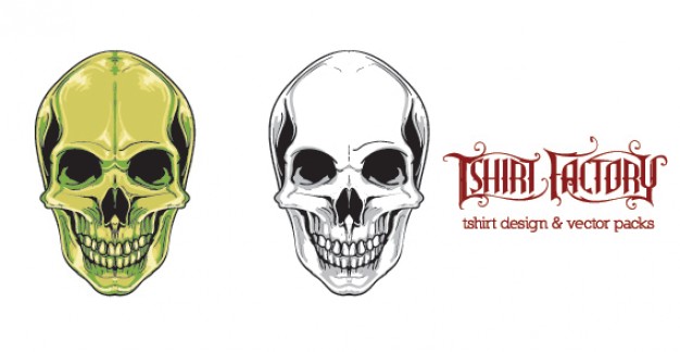 Human skull Burundi with different color about Thailand Africa