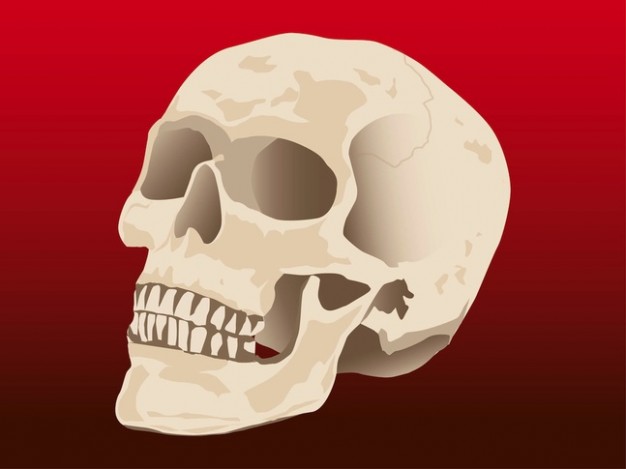 Human skull dead  skelton with red background about Catholic Church Health