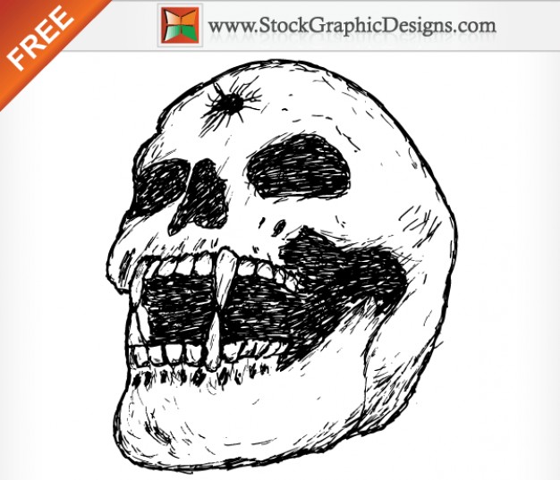 human skull image drawn by hand