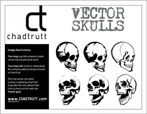 human skulls set with different angel