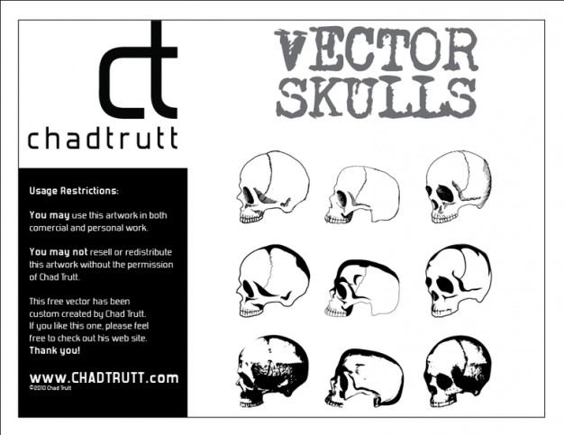 human skulls vector with white background