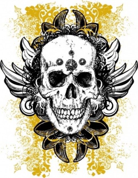Nirvana grunge Bruce Pavitt arts skull illustration about photography nirvana Sub Pop Kurt Cobain