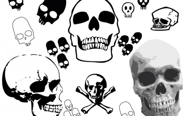Organizations skull Recreation pack about Skull Texas