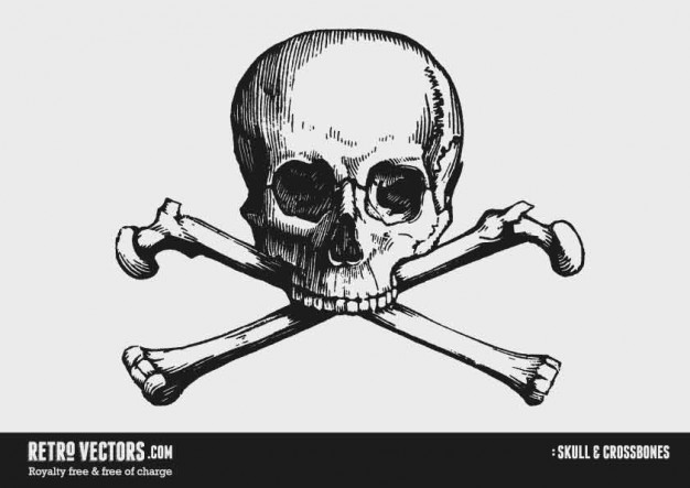 Piracy skull Maritime cross bones with grey background about History Skull and Bones