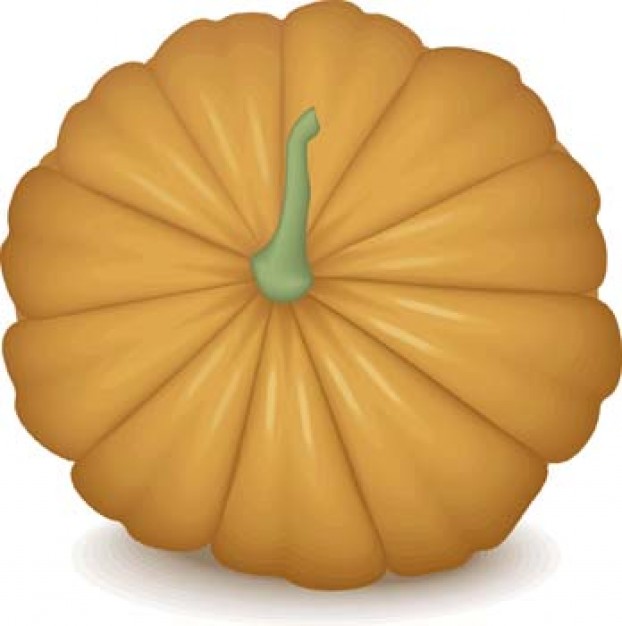 Pumpkin Fruit and Vegetable front view about Vegetable