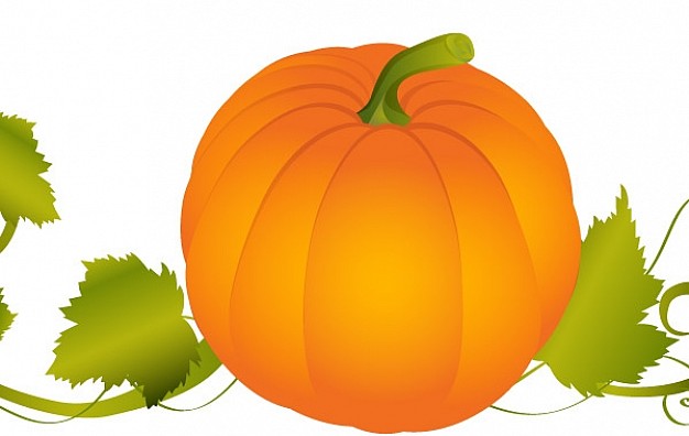 Pumpkin Fruit and Vegetable graphic with background about Cooking Home