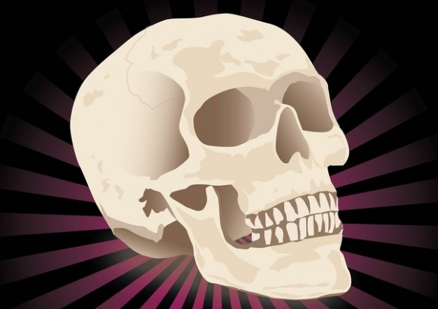 realistic skull with dark radiant background