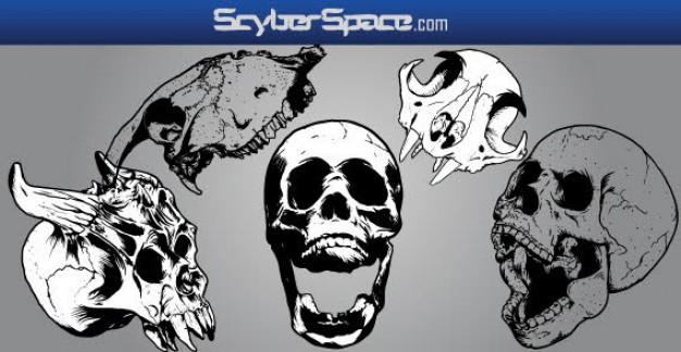 skull Arts misc with grey background about clip art