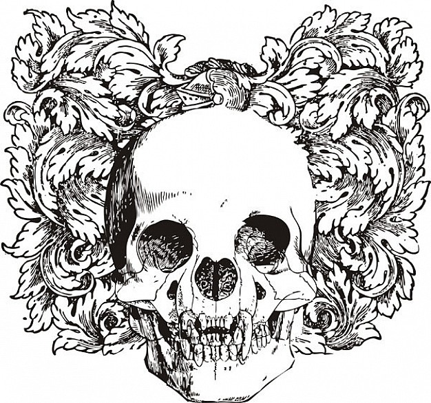 skull illustration front view with floral background