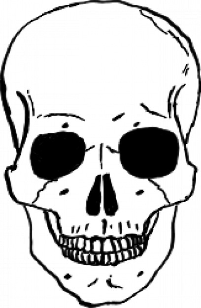 skull in front view with dark eyes socket