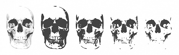 skull layers in different deep