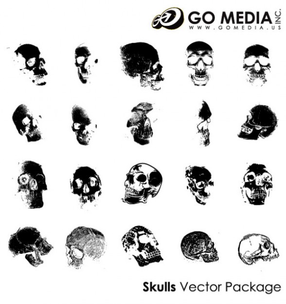skull material human skull created by go media
