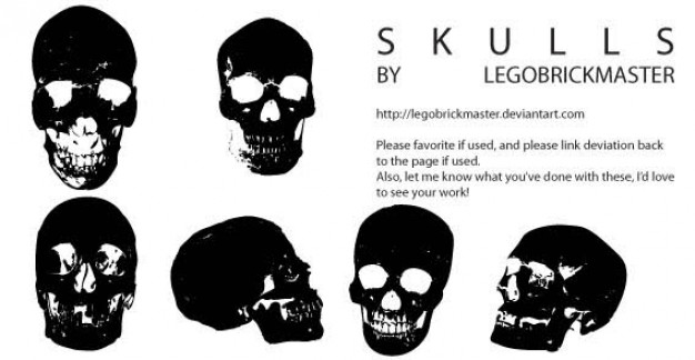 skull types vectors with different angel view