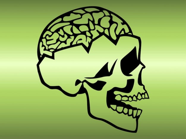 skull with brain exposed with light green background