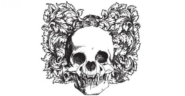 skull with ornaments and leaves Floral at back