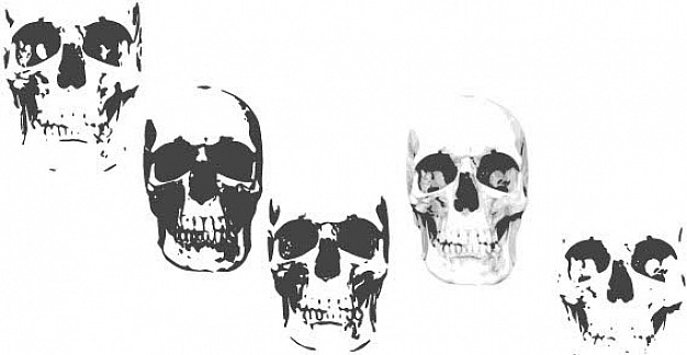 skulls collection with white background