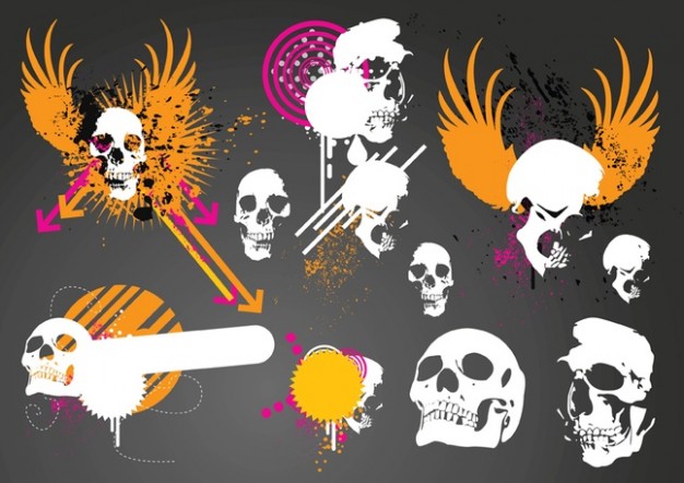 skulls with orange wings graphics over grey background