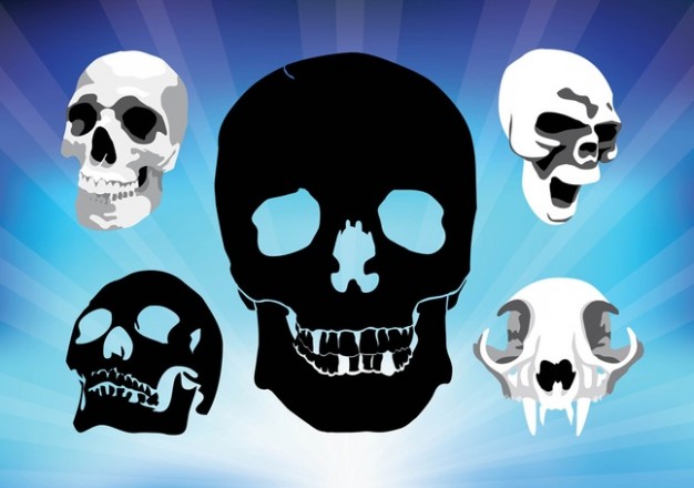 spooky skulls vectors with sunrise blue background